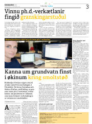 Síða 31