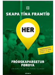 Síða 41