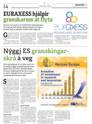 Síða 42