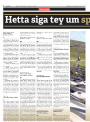 Síða 6