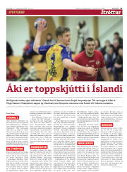 Síða 13
