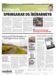 Síða 2