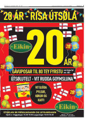 Síða 5