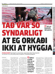 Síða 8