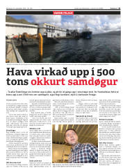 Síða 11