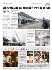 Síða 15