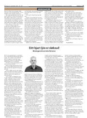 Síða 17