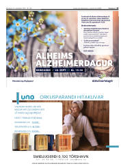 Síða 19