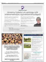 Síða 20