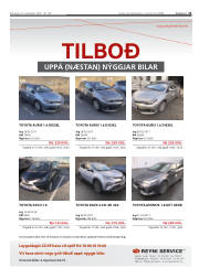 Síða 21
