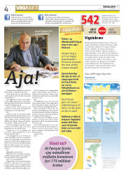 Síða 4