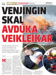 Síða 14