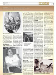 Síða 17