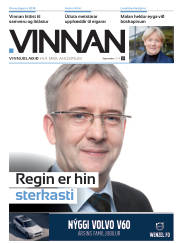 Síða 25