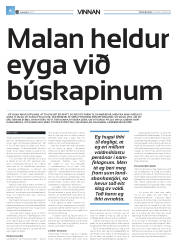 Síða 28