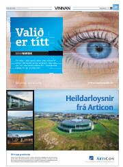 Síða 43