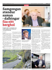 Síða 3