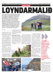 Síða 8