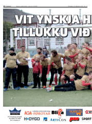 Síða 12