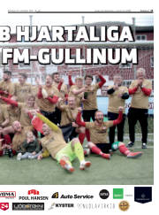 Síða 13