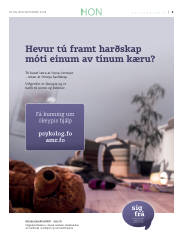 Síða 27