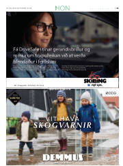Síða 39