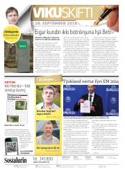 Síða 2