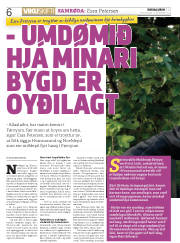 Síða 6