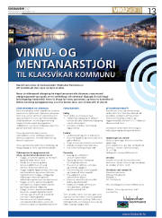 Síða 13