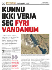 Síða 20