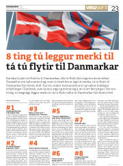 Síða 23