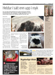 Síða 3