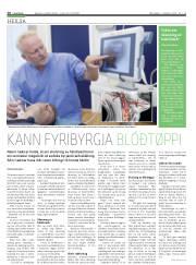 Síða 10