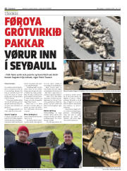 Síða 12