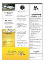 Síða 17
