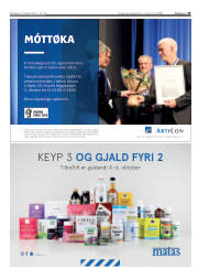 Síða 19