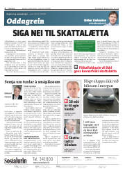Síða 2