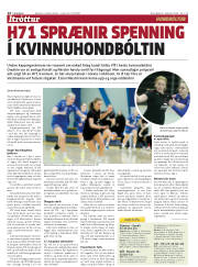 Síða 14