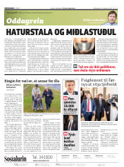 Síða 2