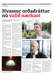 Síða 8