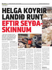 Síða 10