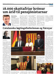 Síða 17