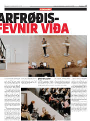Síða 19