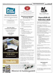 Síða 25