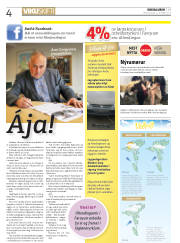 Síða 4