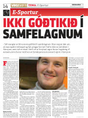 Síða 14
