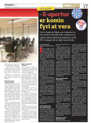 Síða 17