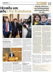 Síða 25