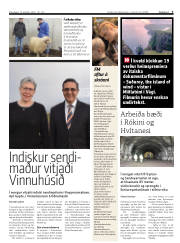 Síða 3