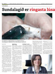 Síða 8